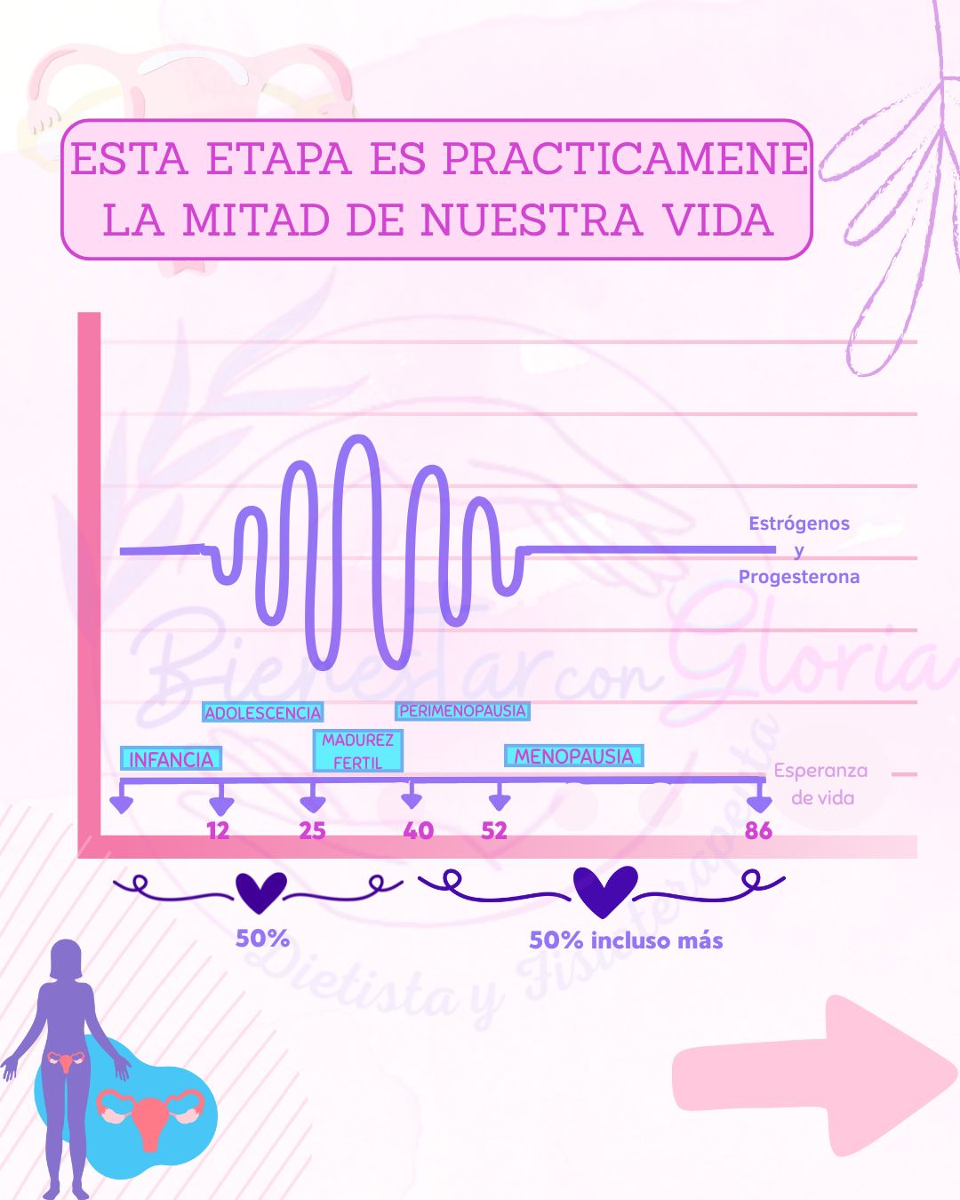 NUTRICIÓN PERIMENOPAUSIA Y MENOPAUSIA 2